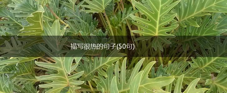 描写很热的句子(50句),第1张