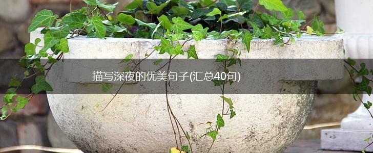 描写深夜的优美句子(汇总40句),第1张