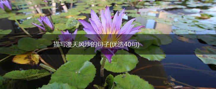 描写漫天风沙的句子(优选40句),第1张