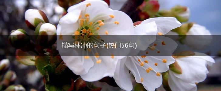 描写林冲的句子(热门56句),第1张
