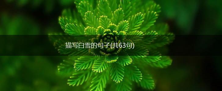 描写白雪的句子(共63句),第1张