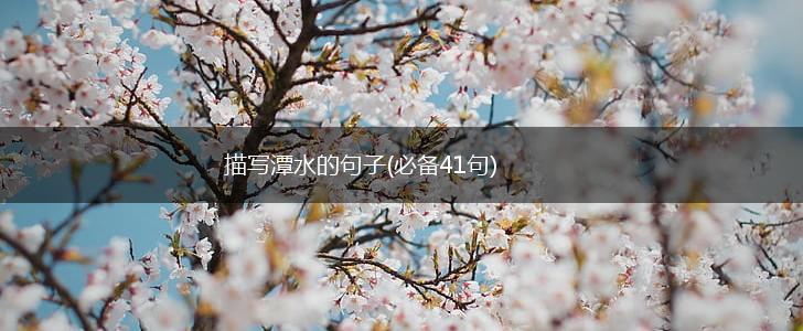 描写潭水的句子(必备41句),第1张