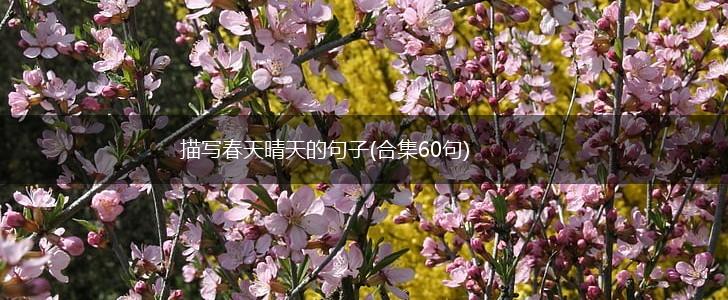描写春天晴天的句子(合集60句),第1张