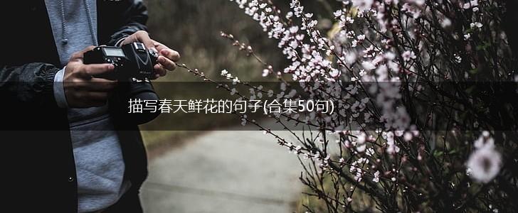 描写春天鲜花的句子(合集50句),第1张