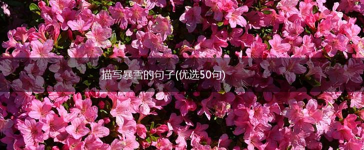 描写暴雪的句子(优选50句),第1张