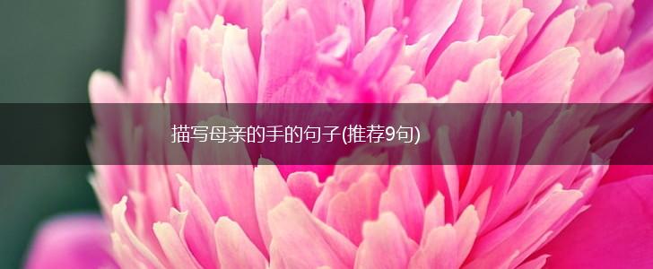 描写母亲的手的句子(推荐9句),第1张