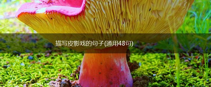 描写皮影戏的句子(通用48句),第1张