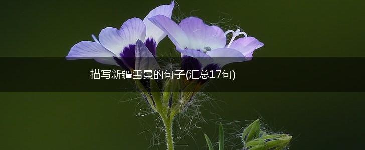 描写新疆雪景的句子(汇总17句),第1张
