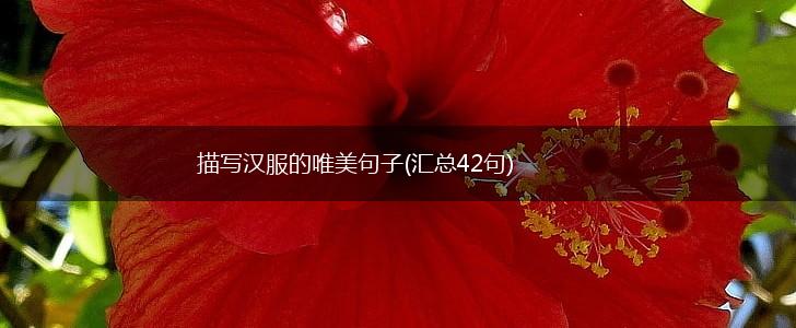 描写汉服的唯美句子(汇总42句),第1张