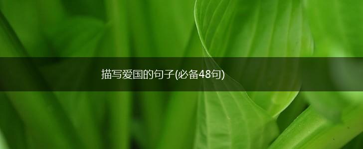 描写爱国的句子(必备48句),第1张