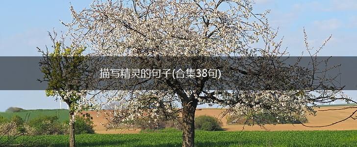 描写精灵的句子(合集38句),第1张