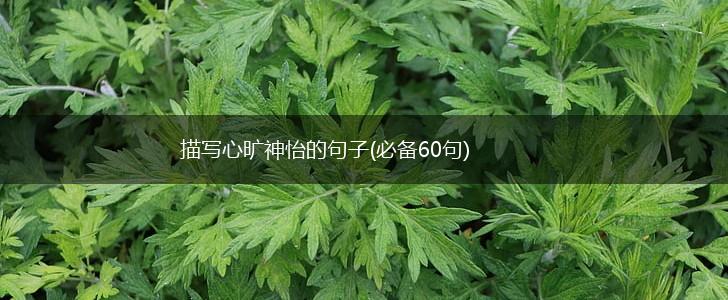 描写心旷神怡的句子(必备60句),第1张