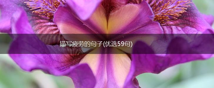 描写疲劳的句子(优选59句),第1张