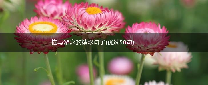 描写游泳的精彩句子(优选50句),第1张