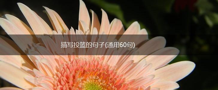 描写投篮的句子(通用60句),第1张