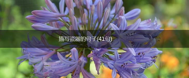 描写瓷器的句子(41句),第1张