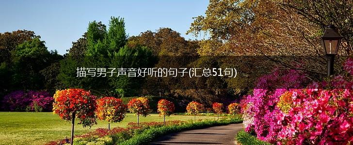 描写男子声音好听的句子(汇总51句),第1张