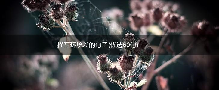 描写环境差的句子(优选60句),第1张
