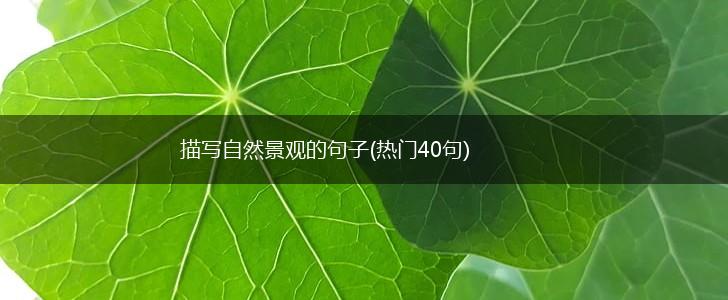 描写自然景观的句子(热门40句),第1张