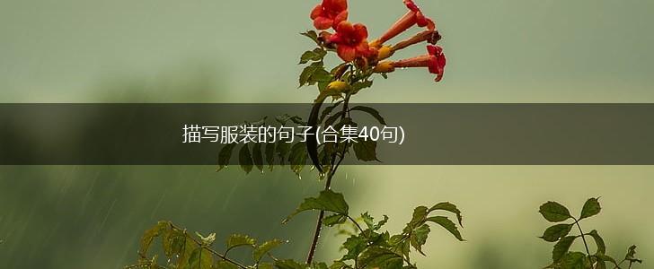 描写服装的句子(合集40句),第1张
