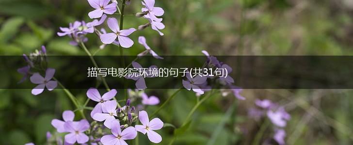 描写电影院环境的句子(共31句),第1张