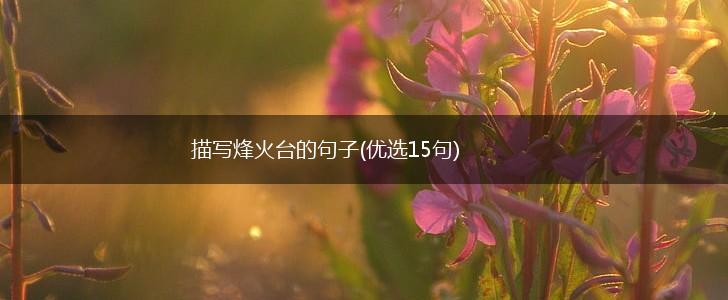 描写烽火台的句子(优选15句),第1张