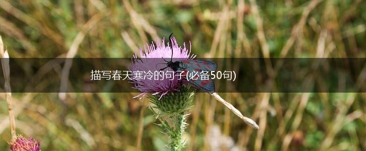 描写春天寒冷的句子(必备50句),第1张