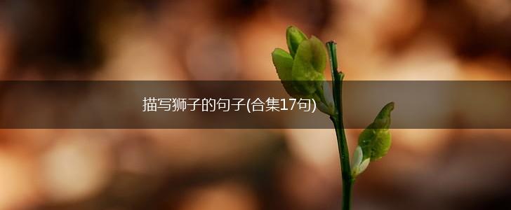 描写狮子的句子(合集17句),第1张