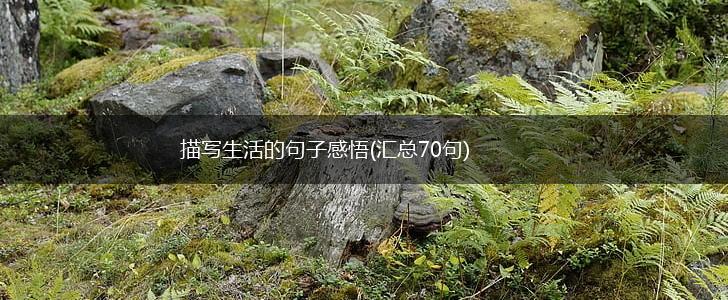 描写生活的句子感悟(汇总70句),第1张