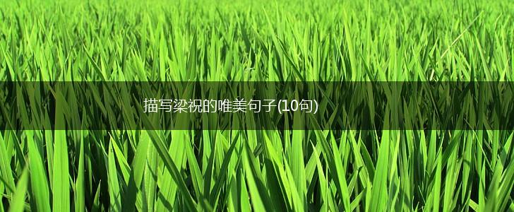 描写梁祝的唯美句子(10句),第1张