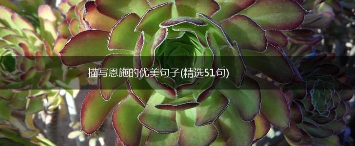 描写恩施的优美句子(精选51句),第1张