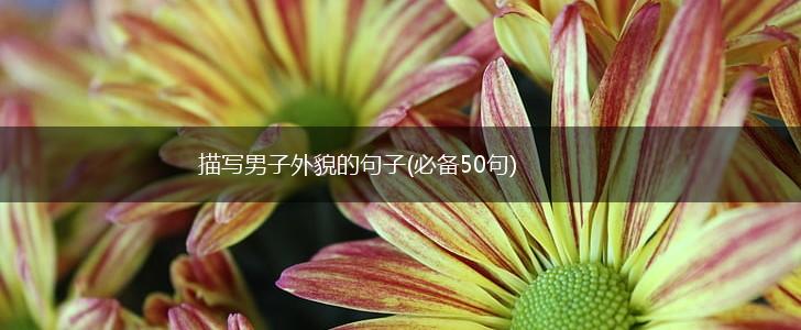 描写男子外貌的句子(必备50句),第1张