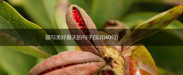 描写美好春天的句子(实用40句),第1张