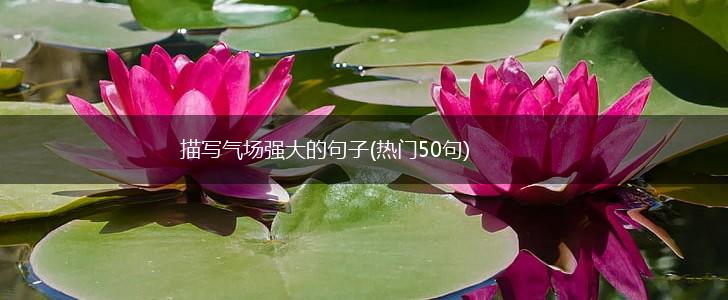 描写气场强大的句子(热门50句),第1张