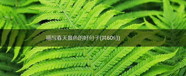 描写春天景色的好句子(共60句),第1张