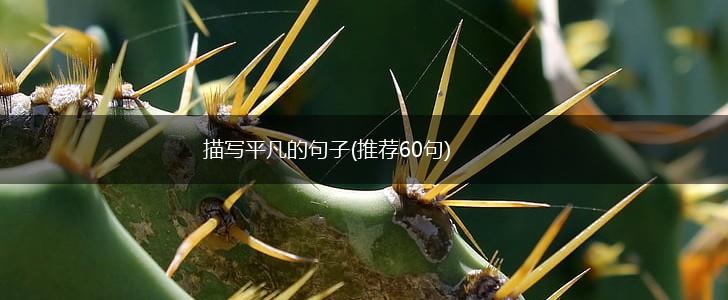 描写平凡的句子(推荐60句),第1张