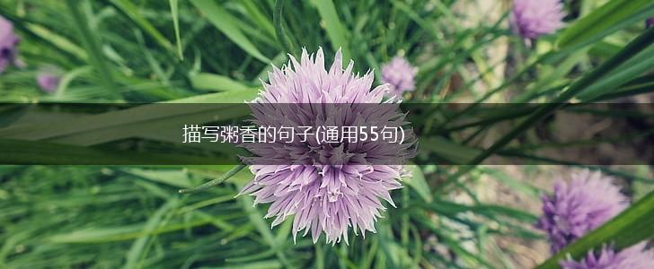 描写粥香的句子(通用55句),第1张