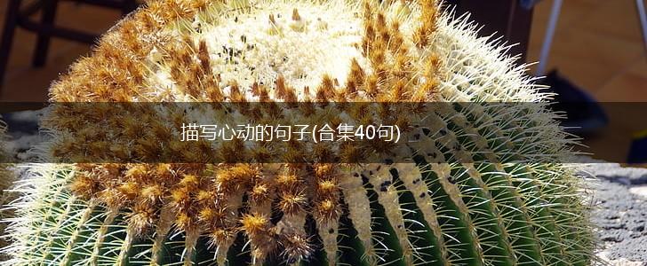 描写心动的句子(合集40句),第1张