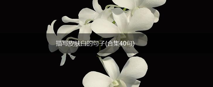 描写皮肤白的句子(合集40句),第1张