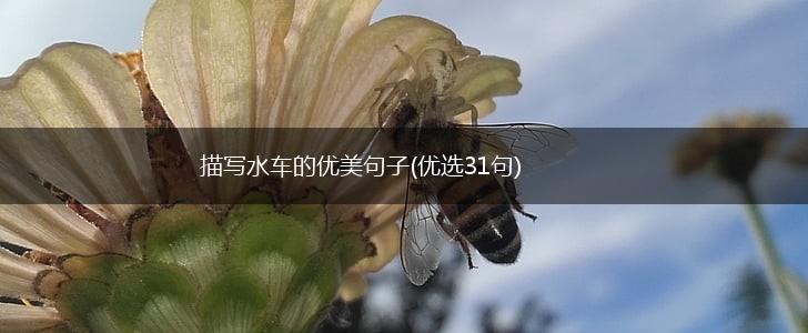 描写水车的优美句子(优选31句),第1张
