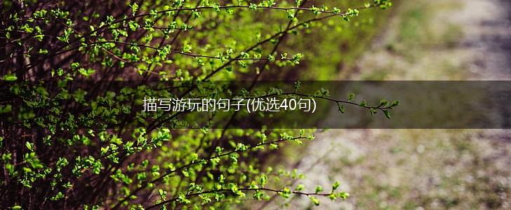 描写游玩的句子(优选40句),第1张