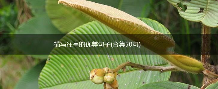 描写往事的优美句子(合集50句),第1张