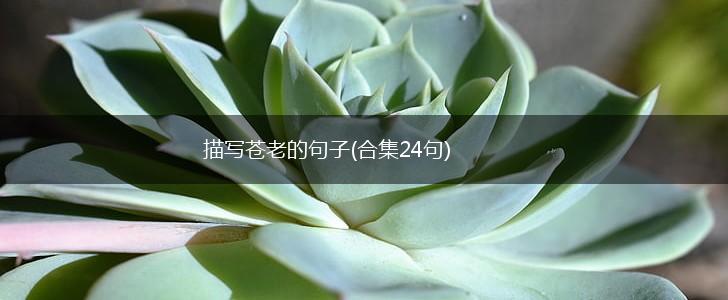 描写苍老的句子(合集24句),第1张