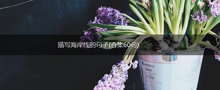 描写海岸线的句子(合集60句),第1张
