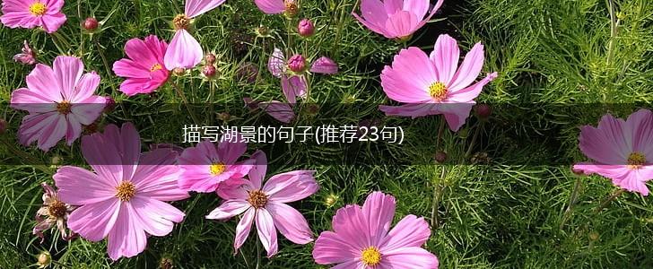 描写湖景的句子(推荐23句),第1张