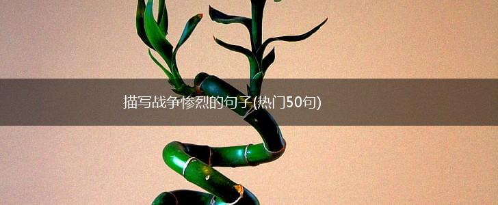描写战争惨烈的句子(热门50句),第1张