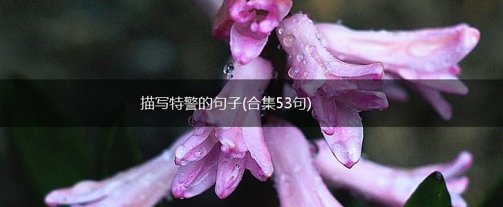 描写特警的句子(合集53句),第1张