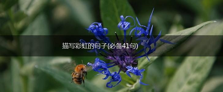 描写彩虹的句子(必备41句),第1张