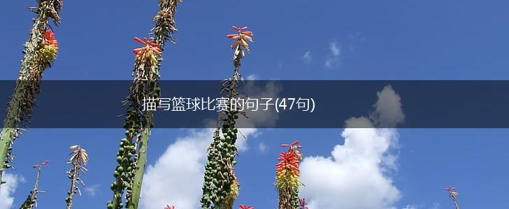 描写篮球比赛的句子(47句),第1张