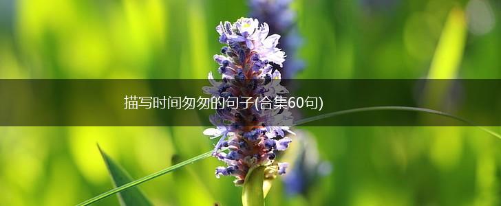 描写时间匆匆的句子(合集60句),第1张